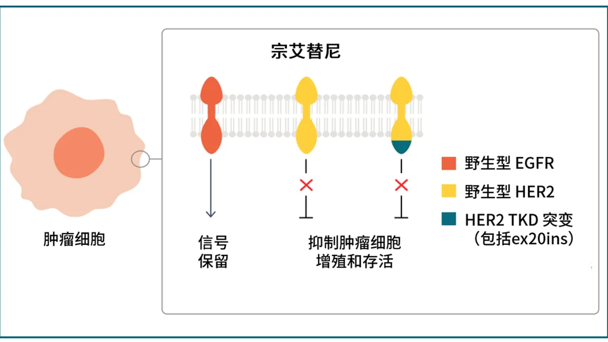 宗艾替尼和奥希替尼药品包装盒对比，旁边有说明书